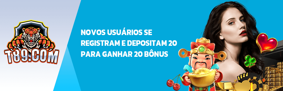 como conferir as apostas na loteria caixa online